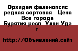 Орхидея фаленопсис редкая сортовая › Цена ­ 800 - Все города  »    . Бурятия респ.,Улан-Удэ г.